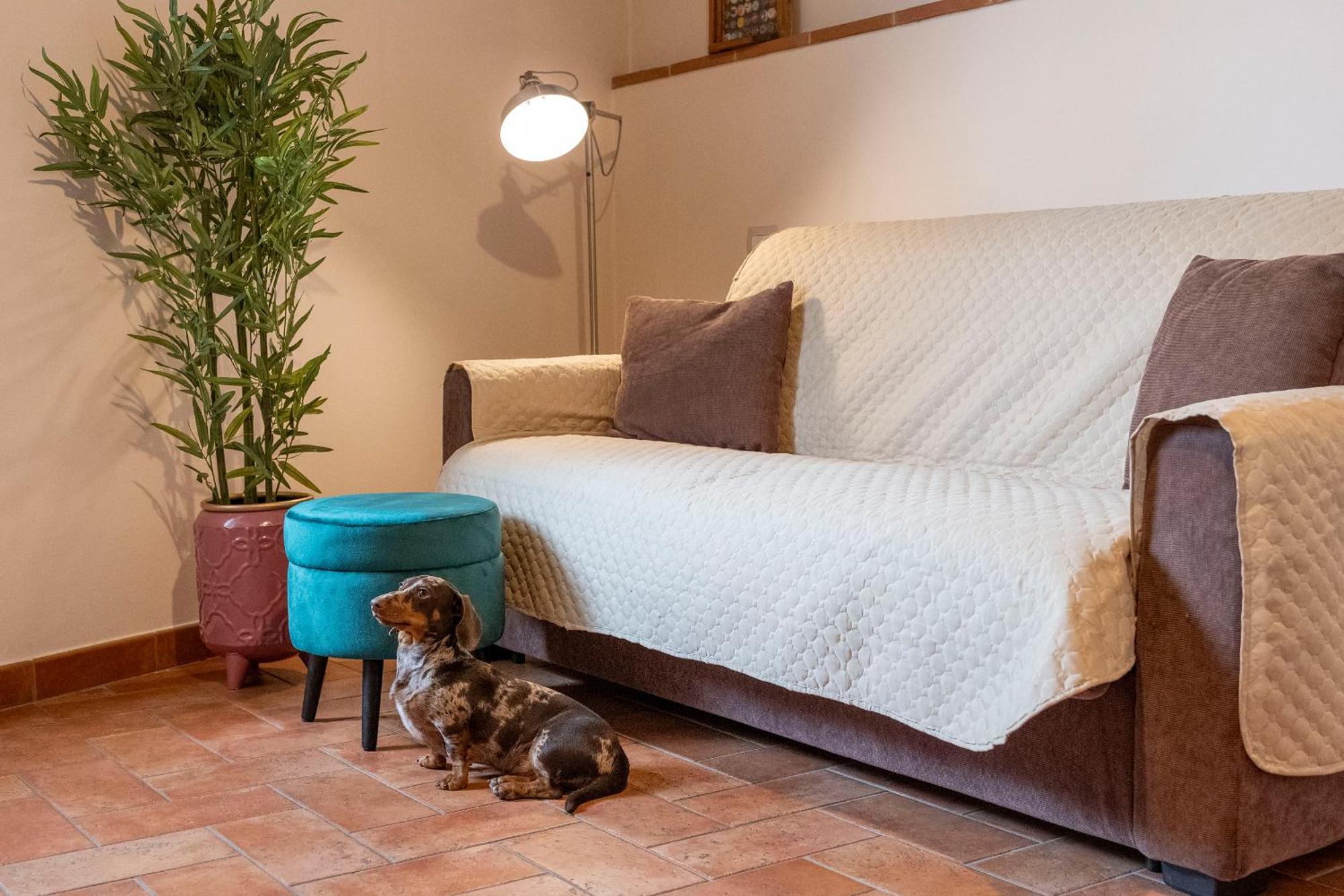 Miva Di Piu Casa Vacanza Arezzo Ngoại thất bức ảnh